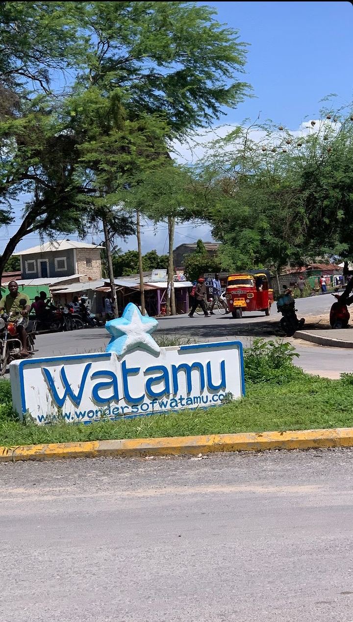 Diani vs Watamu — Which Beach Is Right for You? — Watamu