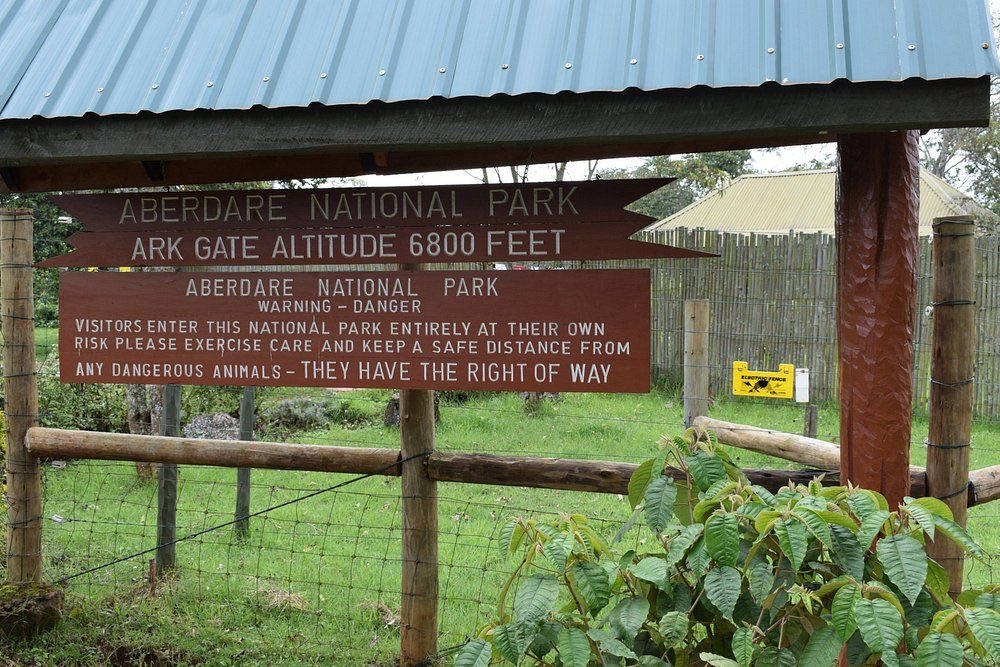 Aberdare National Park