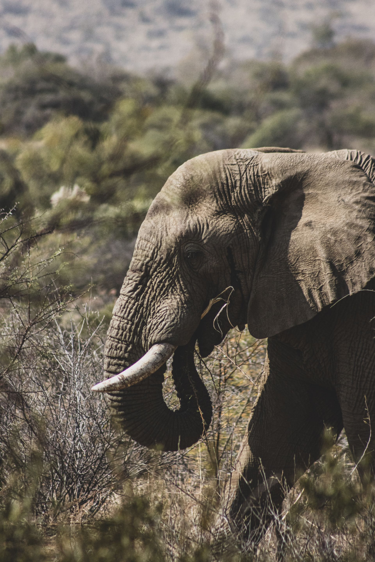 4-Day Samburu Northern Frontier