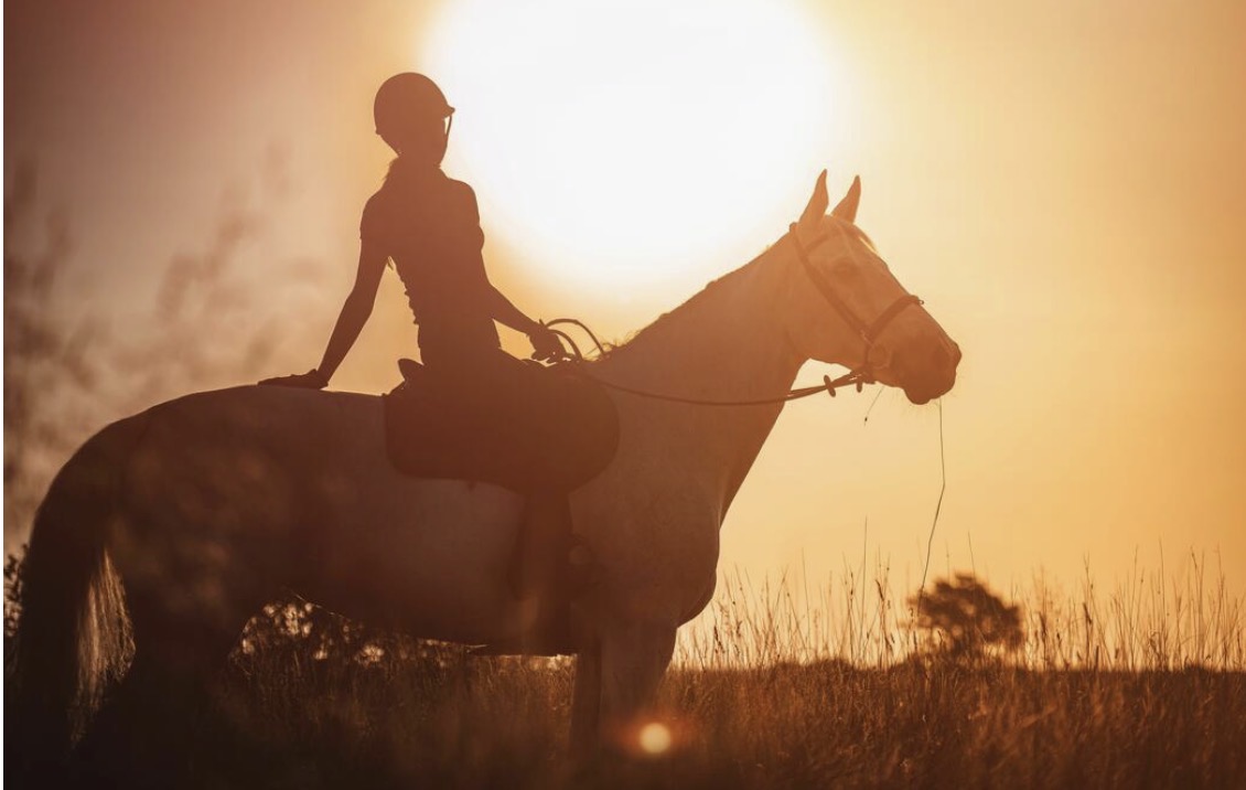 Horse Riding Experiences — Diani