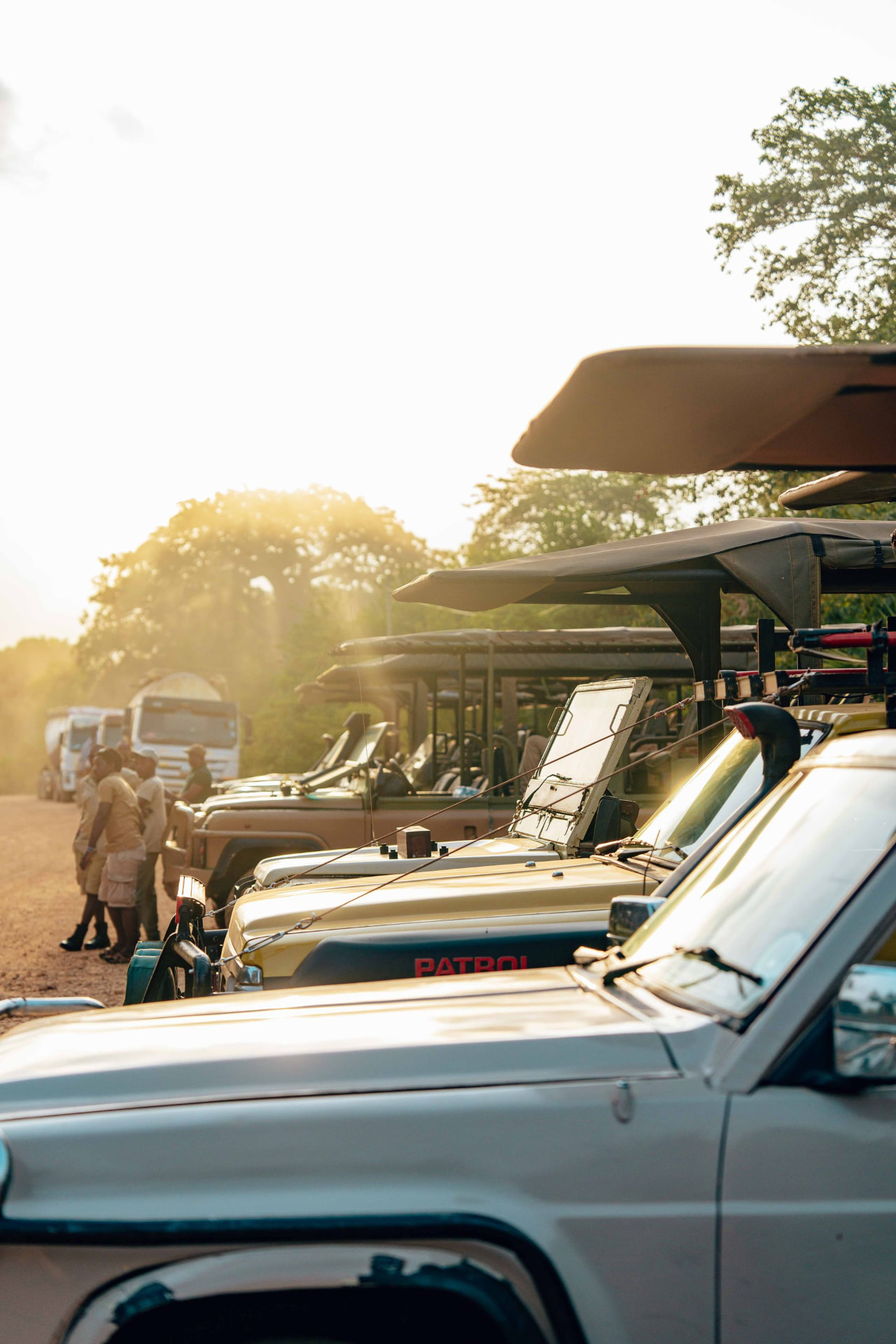8-Day Tsavo Safari & Diani Beach Combo